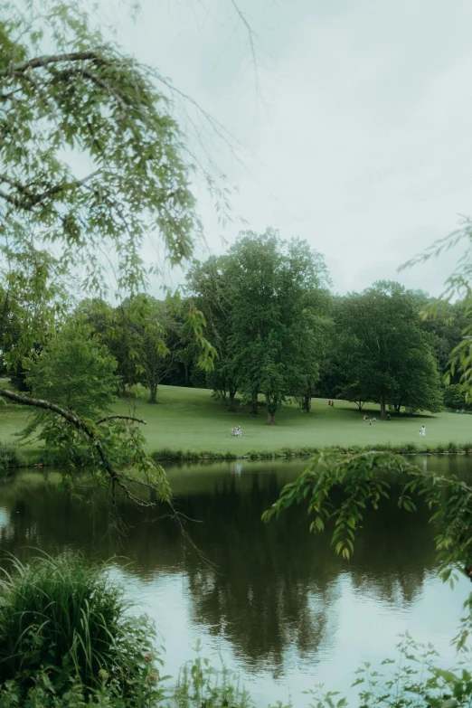 people are relaxing in the park with the water