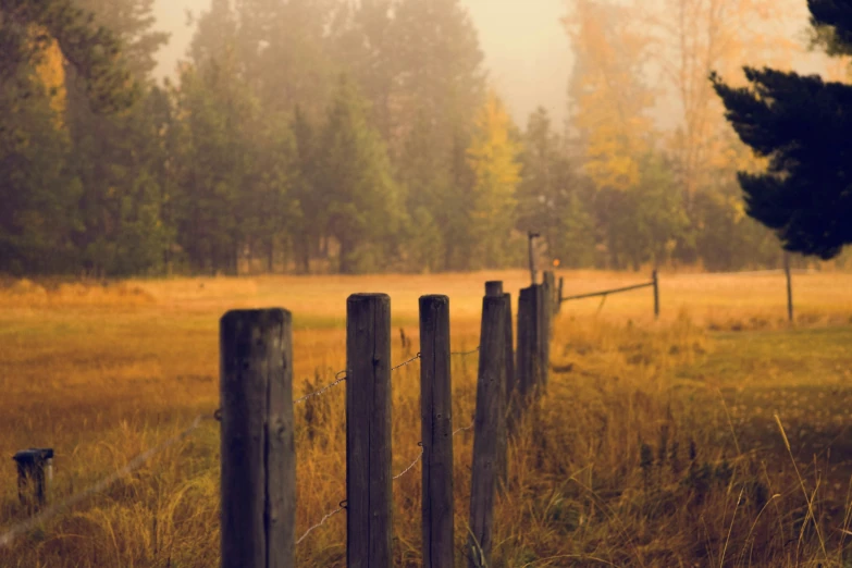 an open field with wooden posts and fences