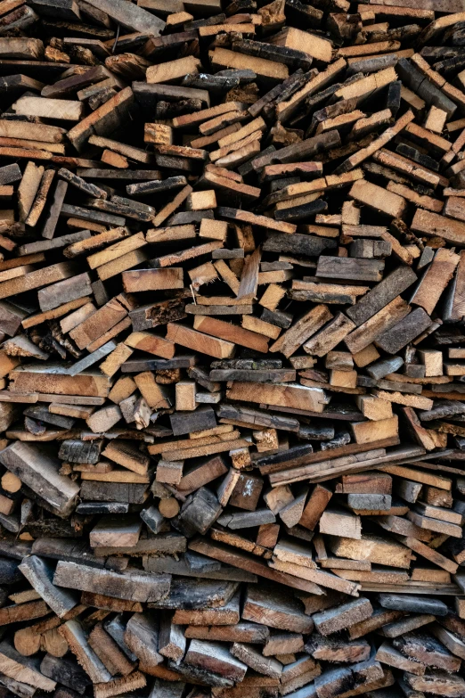 many different types of wood are laid out together