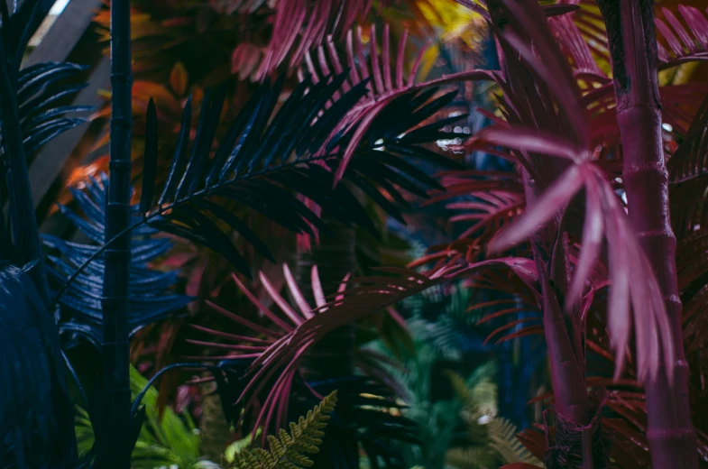 a painting of different tropical plants