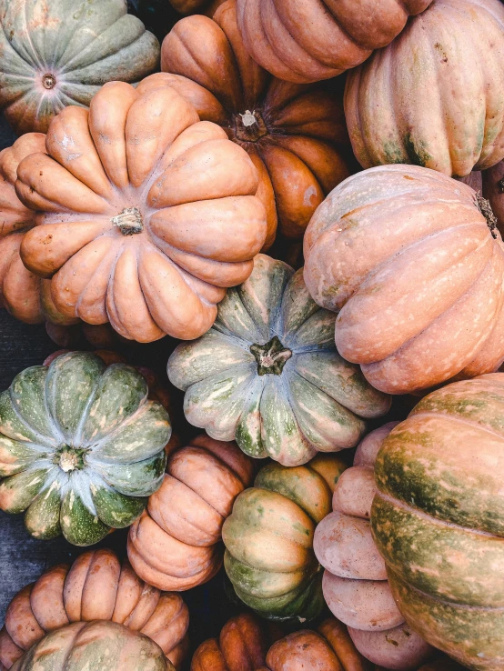 large group of pumpkins together in close up