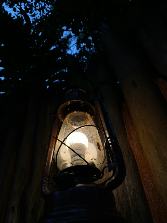 an old street lamp is attached to the side of a tree trunk