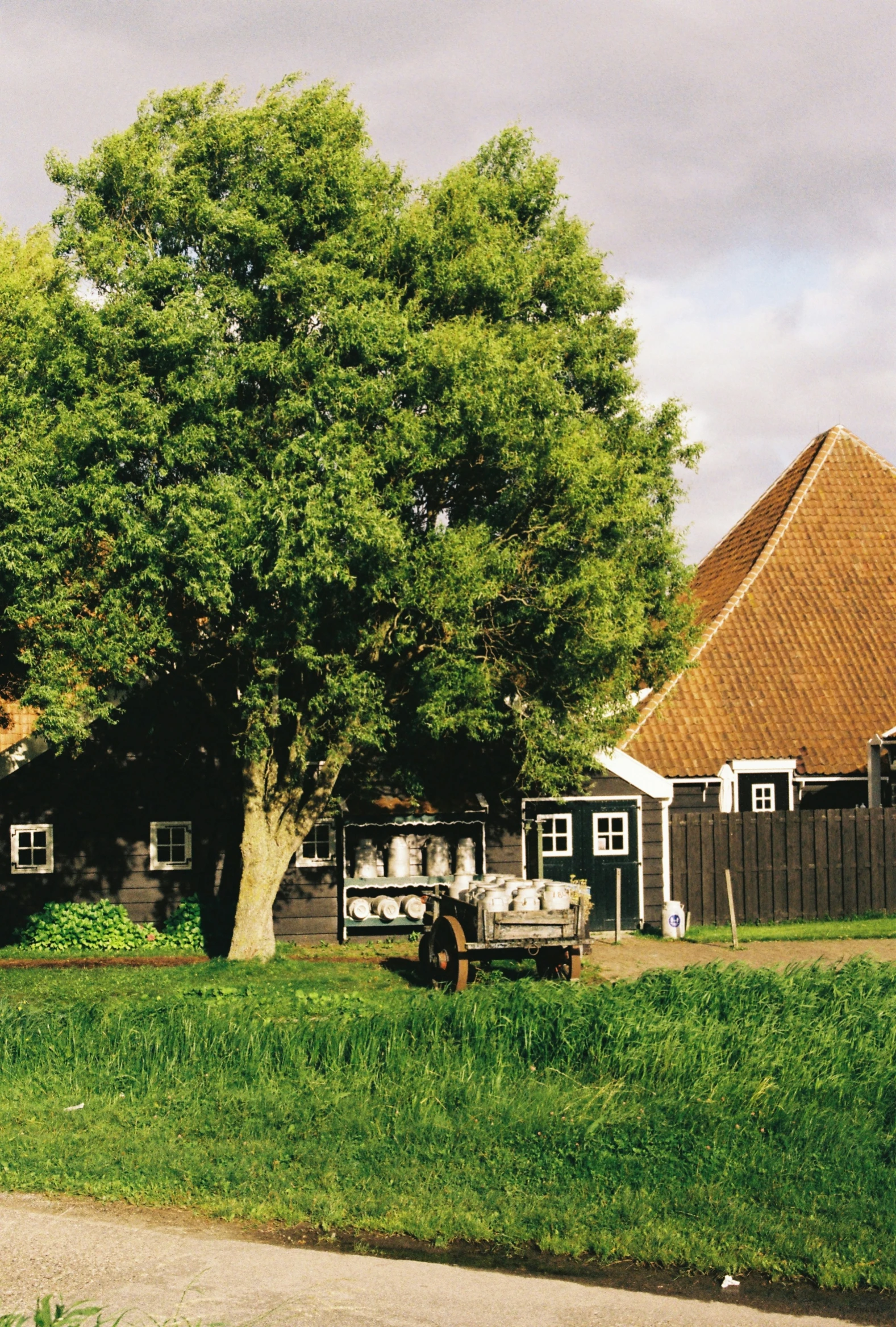 an old home and tree near a small stream