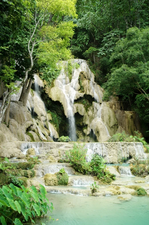 several small waterfalls fall into the forest