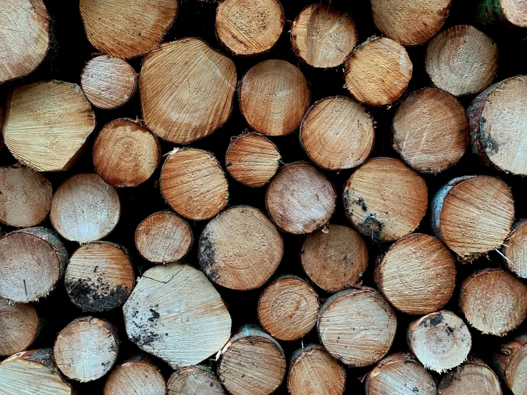 the top view of a large stack of wood