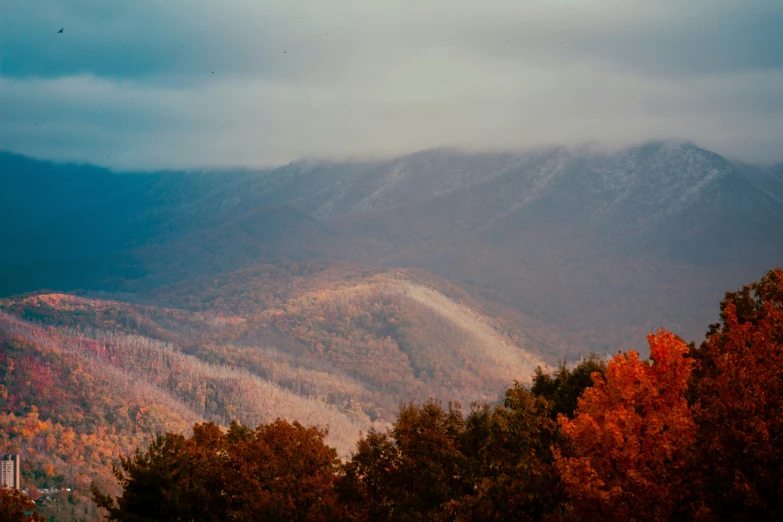 an incredible mountain view with autumn colors