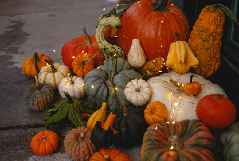 many gourds with lights on them sitting on the ground