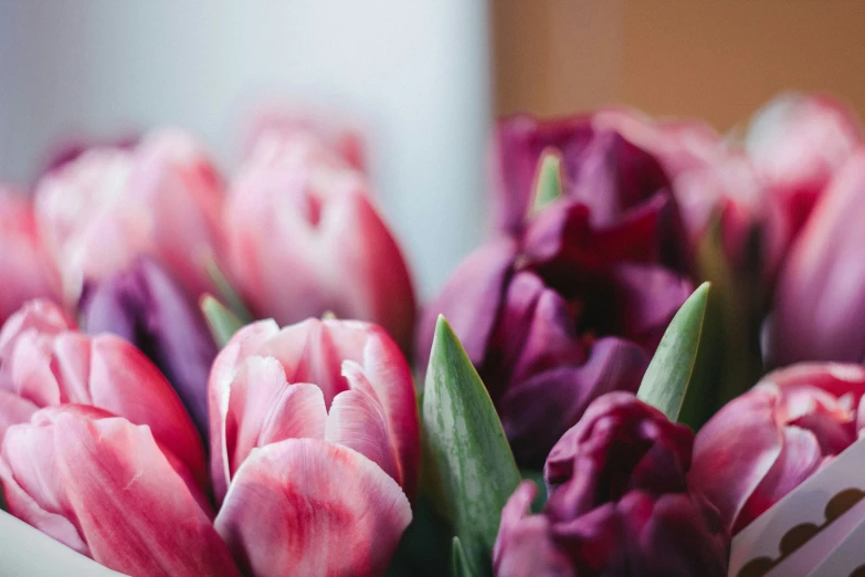 a bunch of pink tulips are in a vase