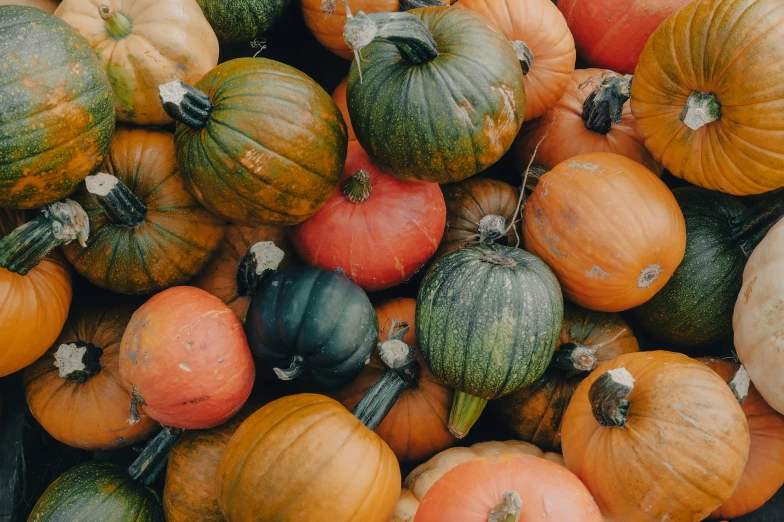 lots of different colored pumpkins displayed in a pile