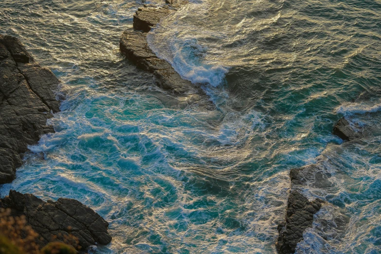 birds sitting on the edge of rocks in water