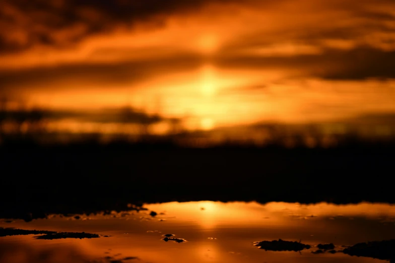 a small bird on top of a dle of water