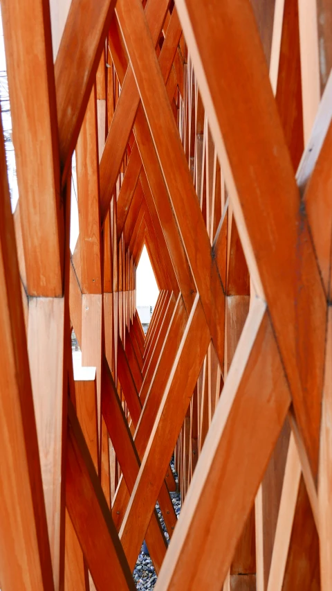 the abstract po shows a variety of intersecting wooden structures