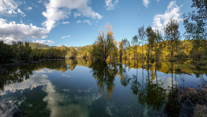 clear still river surrounded by forest, with cloud in the sky