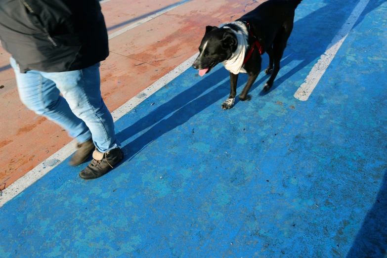 a dog walking in between a man's legs