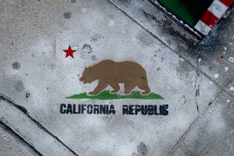 a bear painted on the concrete with writing