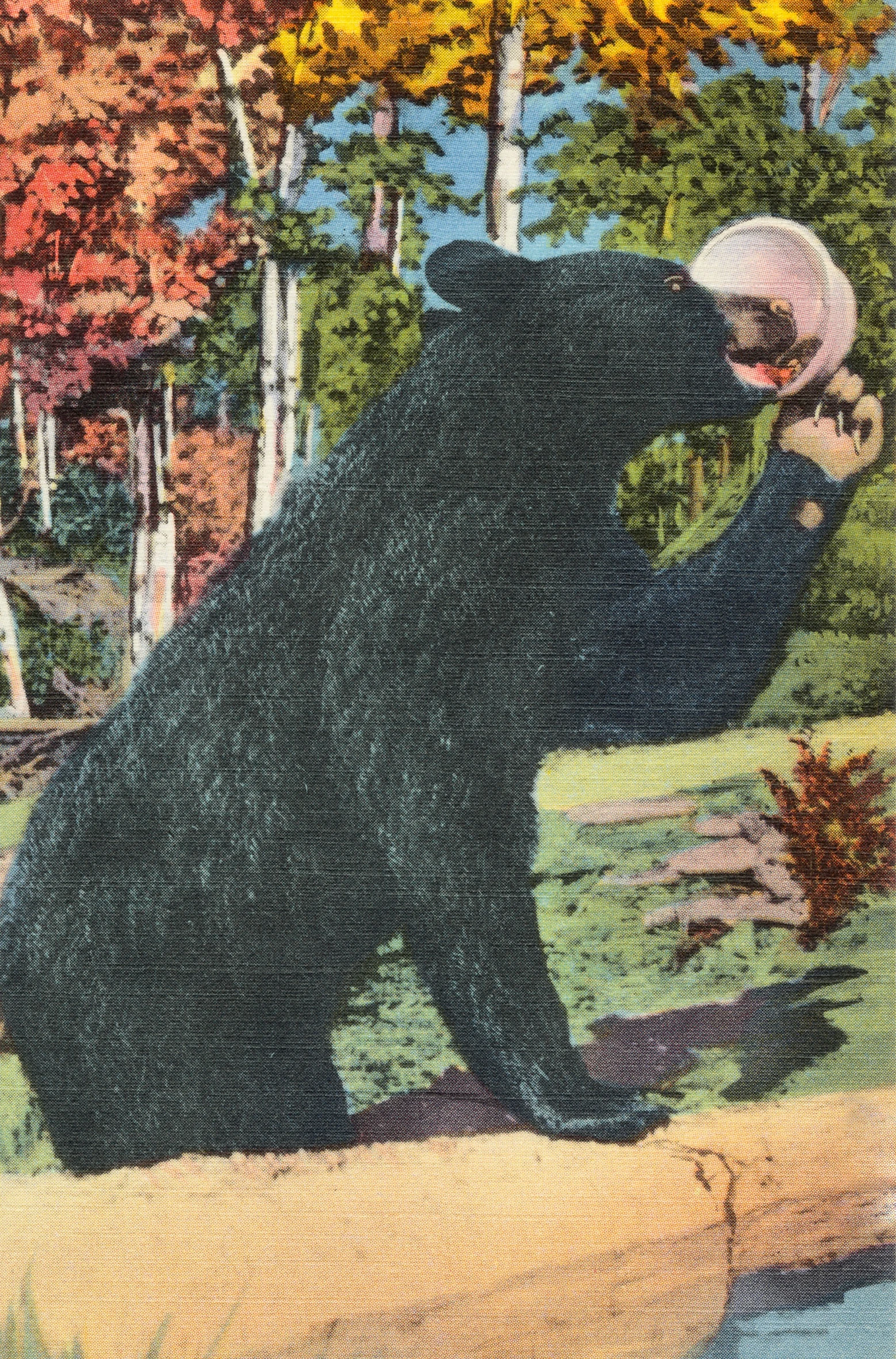 a black bear with white hat on in front of a lake