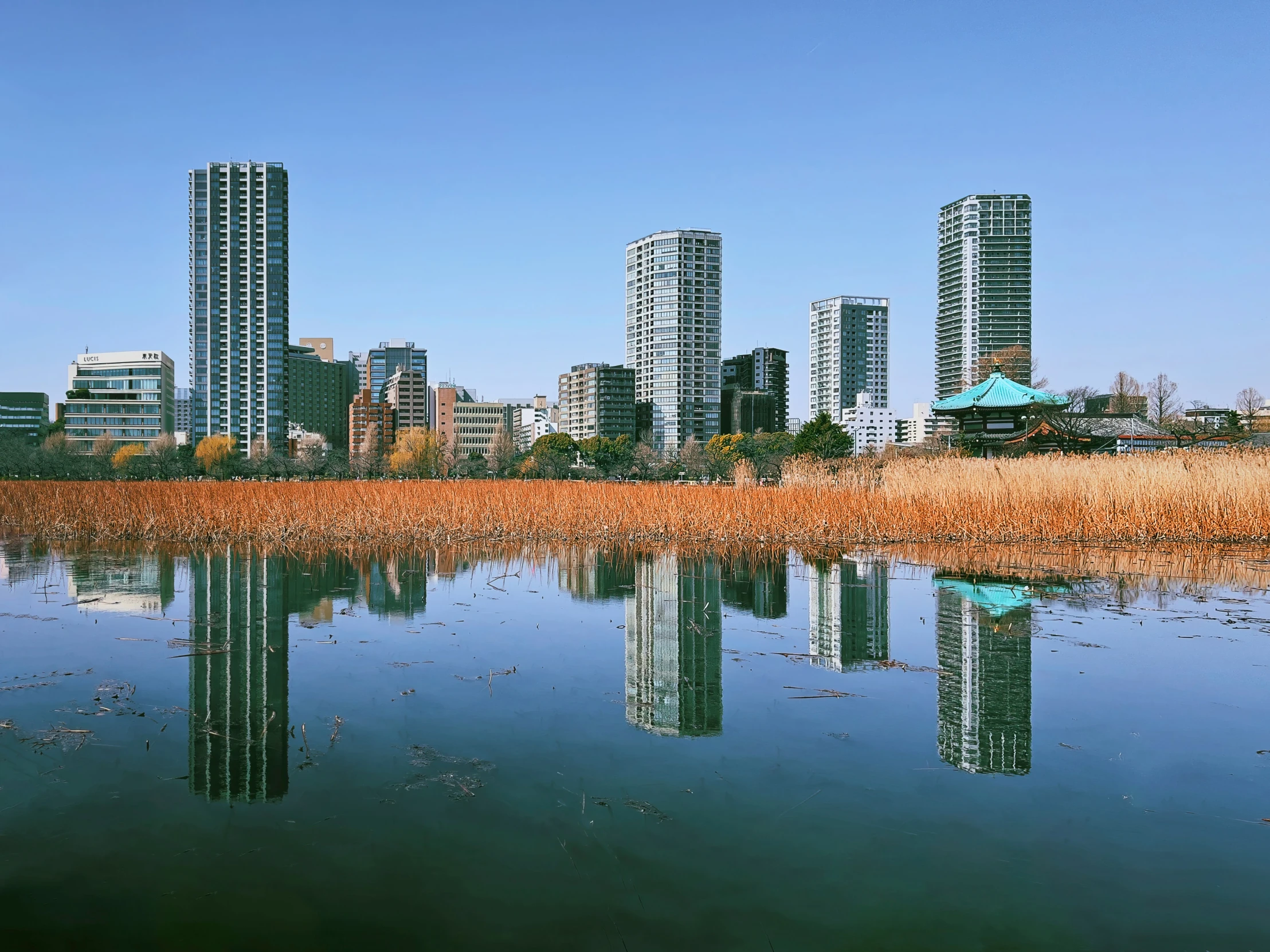 tall buildings with many floors surrounding water in a lake