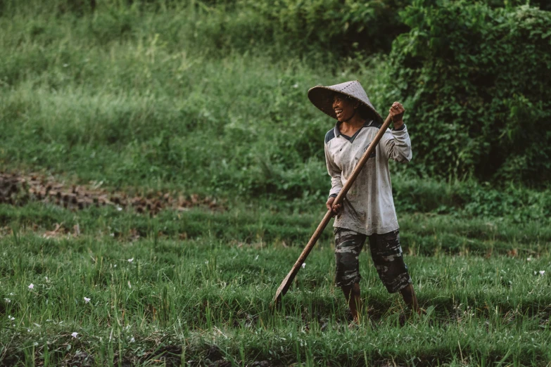 the farmer is picking flowers from a field