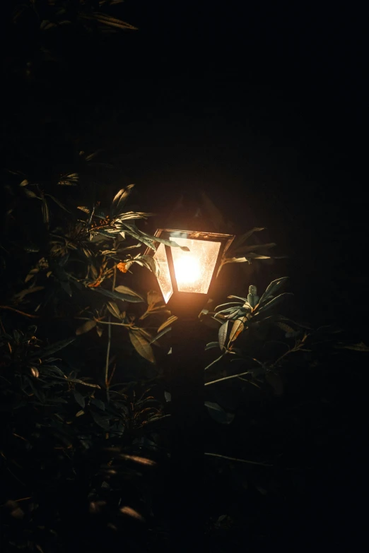 an illuminated light post shines on a dark night