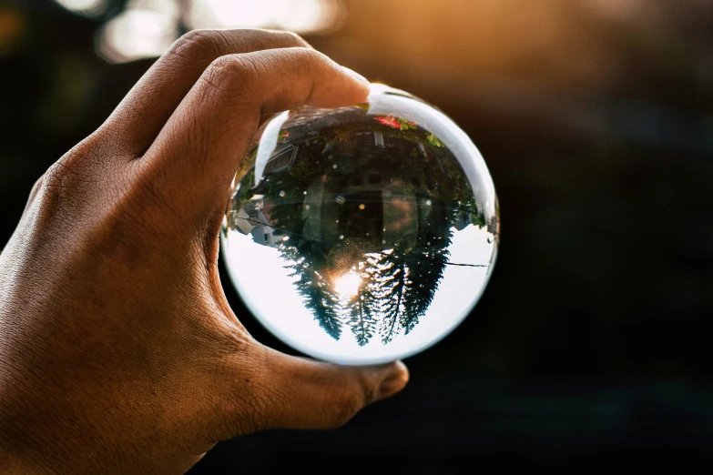 a person holding a round glass ball with trees in it