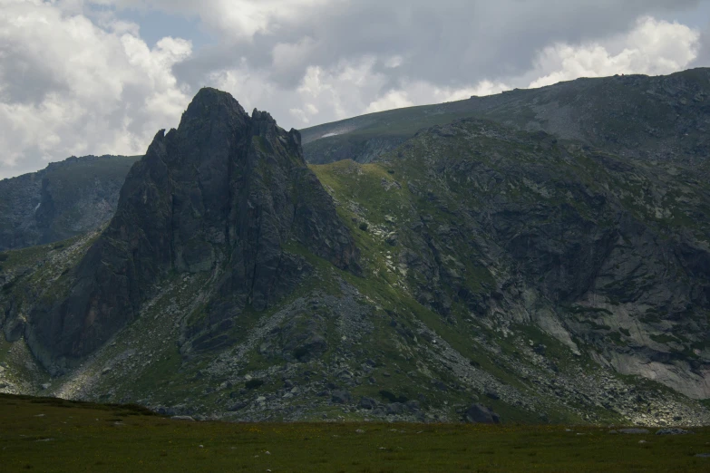 a horse standing on a grassy hillside with mountains in the background