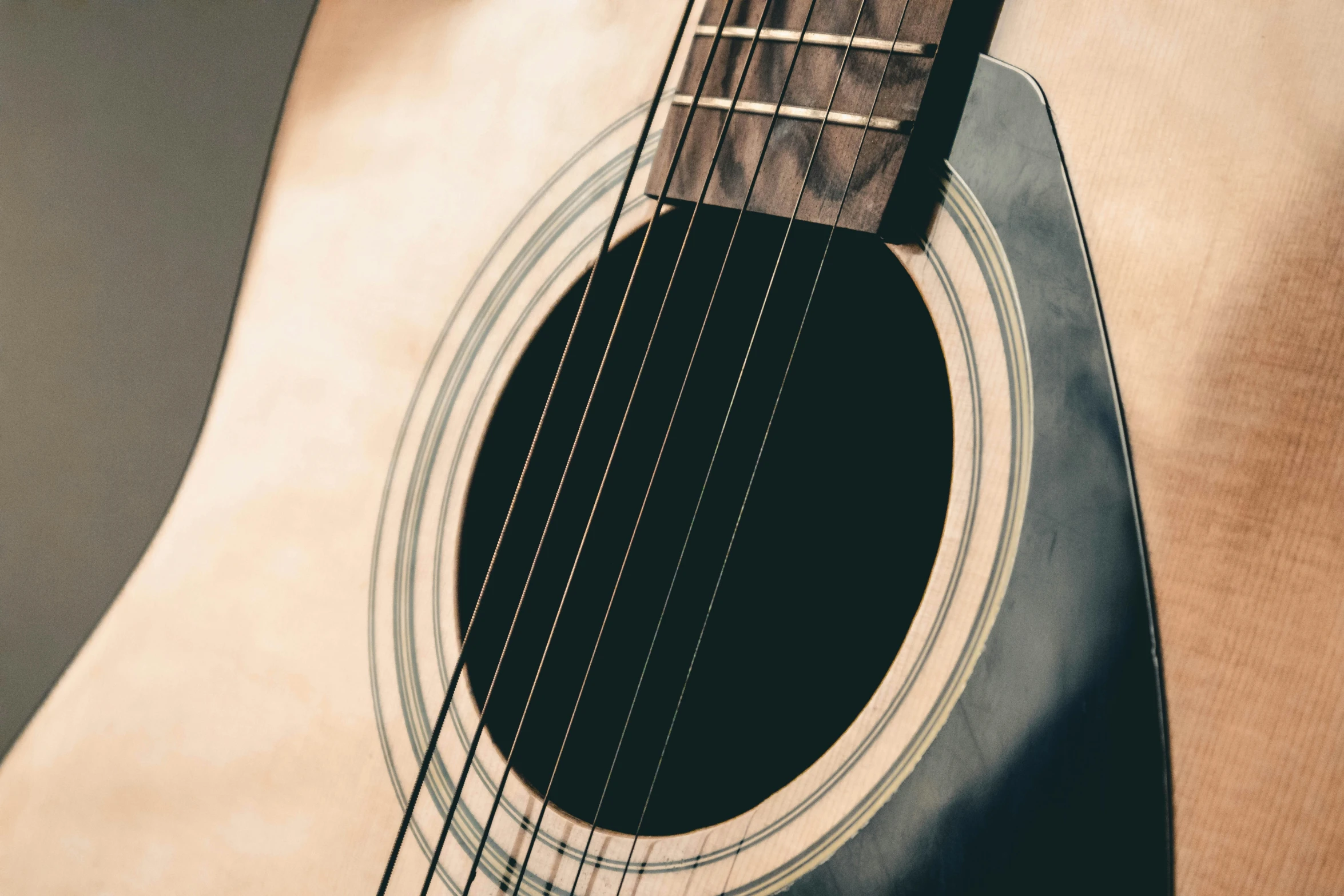 the strings of an acoustic guitar against a grey background