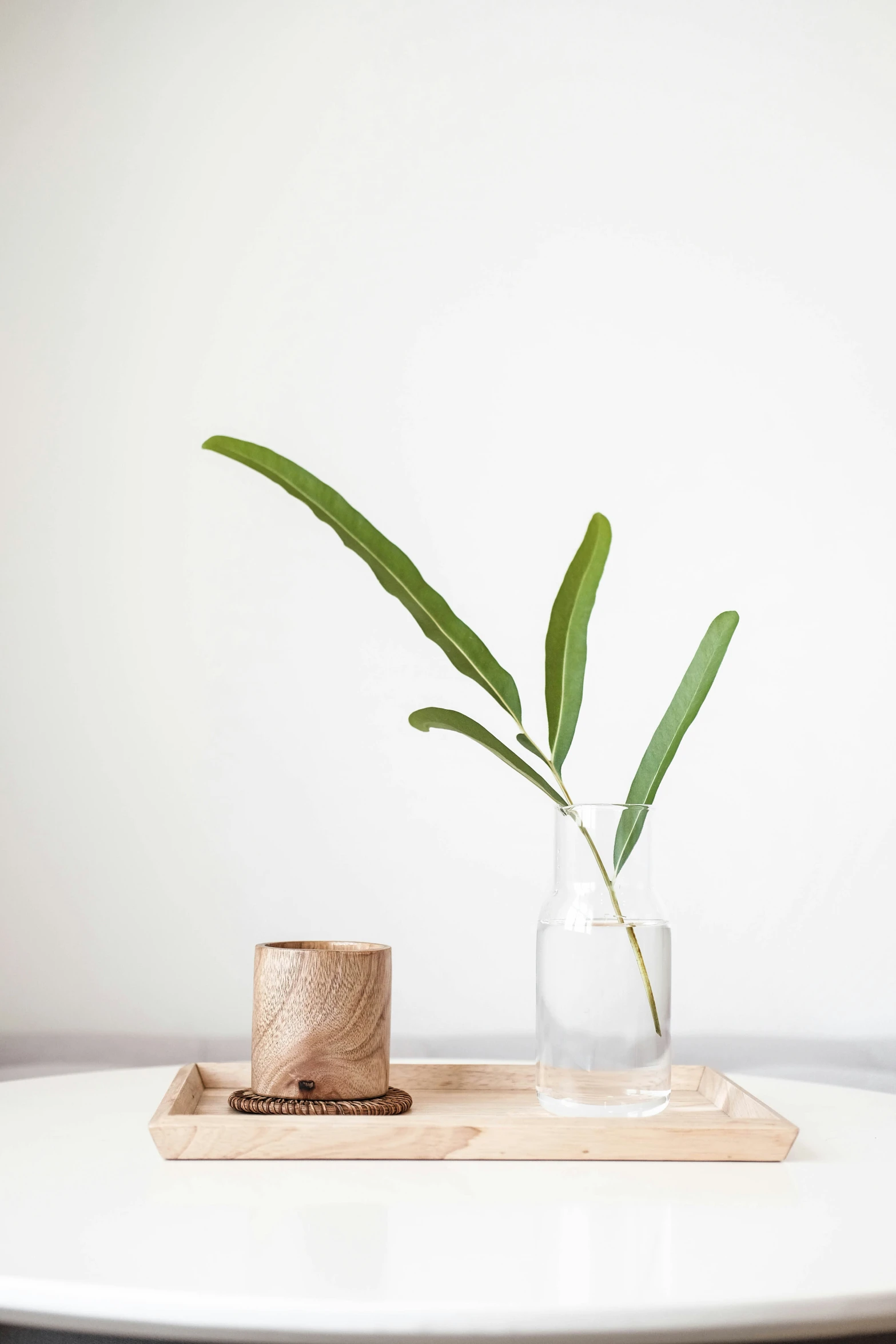 a single small plant in a vase next to a candle