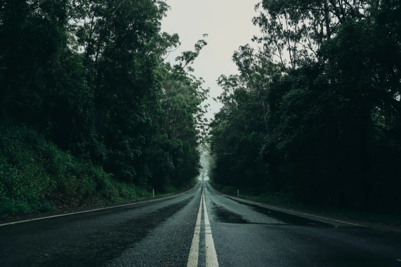 a narrow road that leads up into a forest