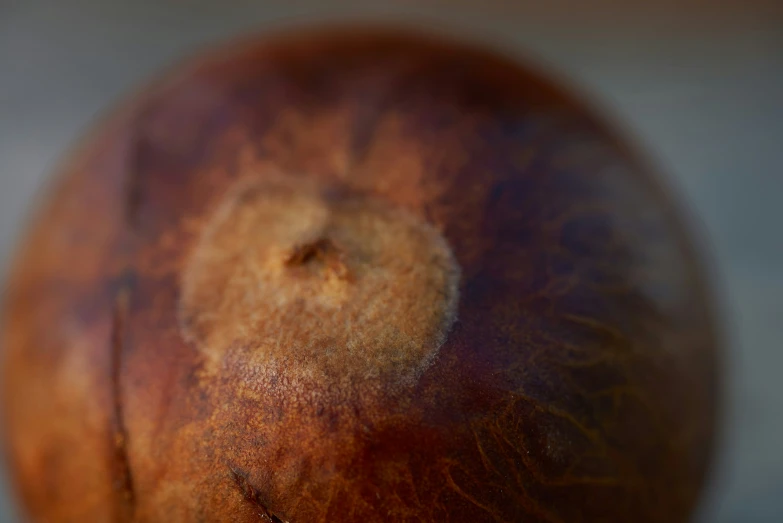 the large brown object is sitting in a close up view