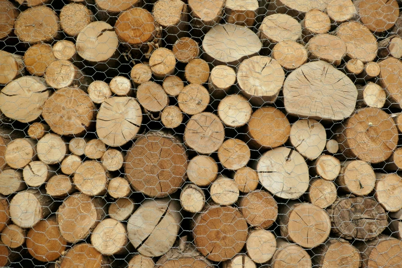 a bunch of logs in the middle of a wire net