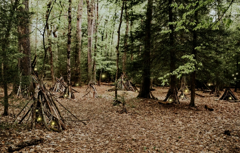 a small hut sits in the middle of a forest