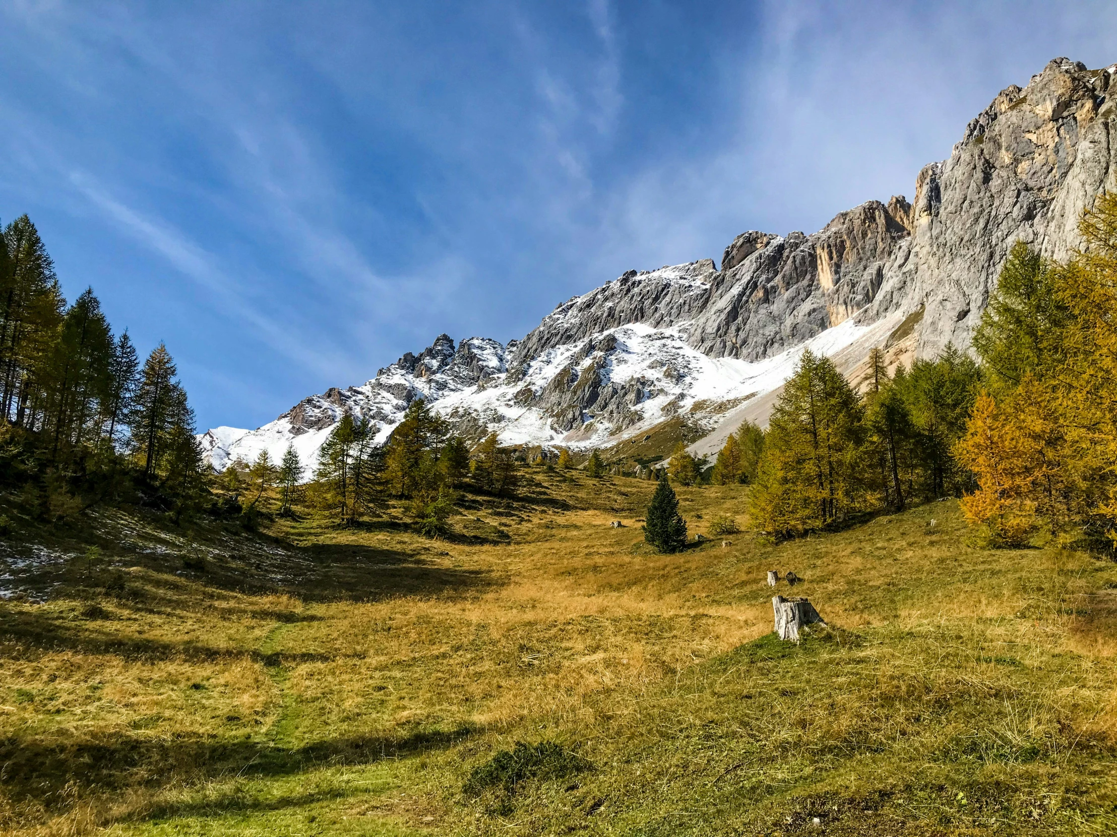 this is a view of a mountain with some trees