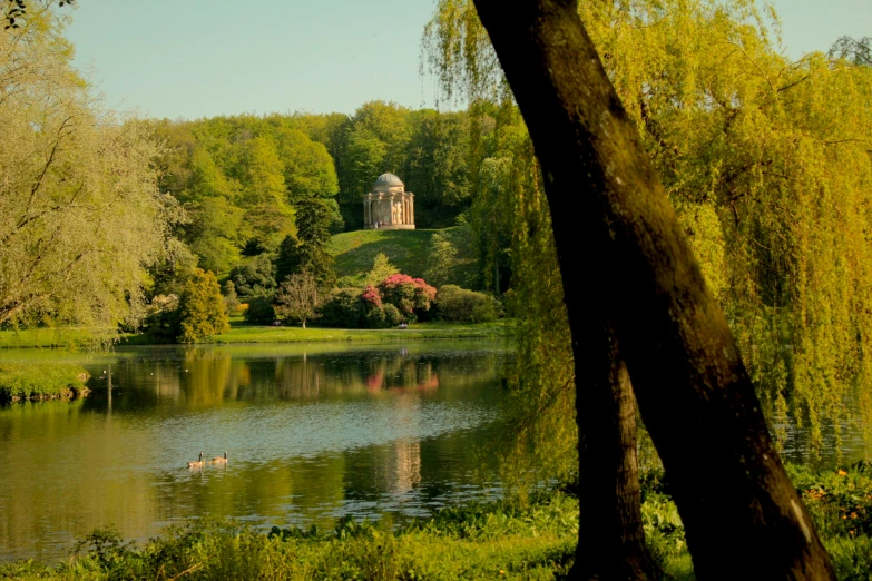 an image of a river in a park setting