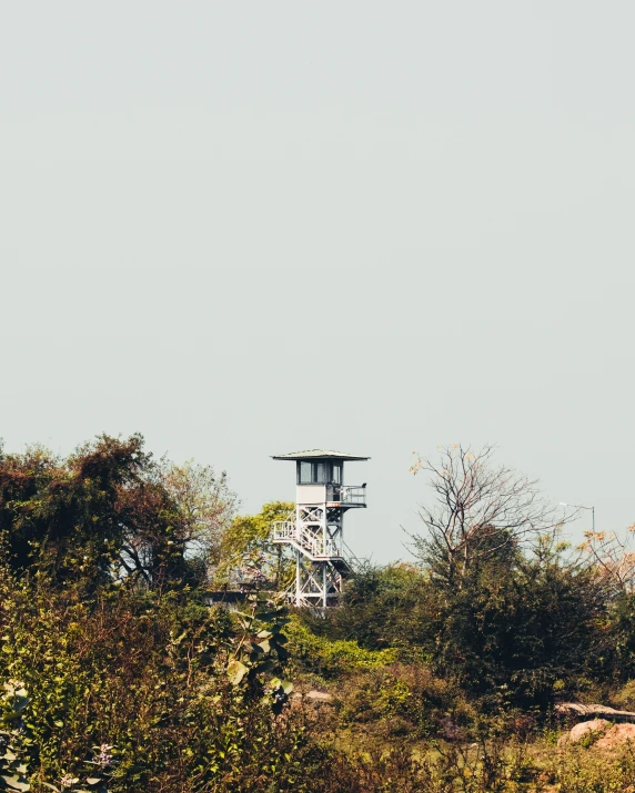 a tall white tower sitting in the middle of a forest