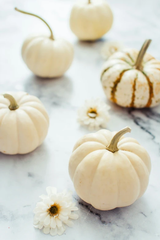 four small white pumpkins with daisies beside them