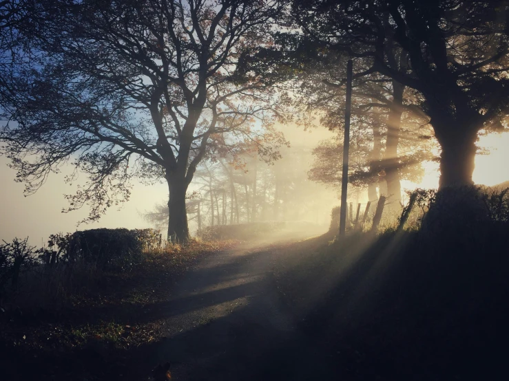 sun rays shining down in a scenic rural area