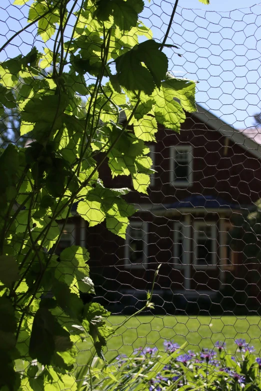 a house is behind a wire mesh fence