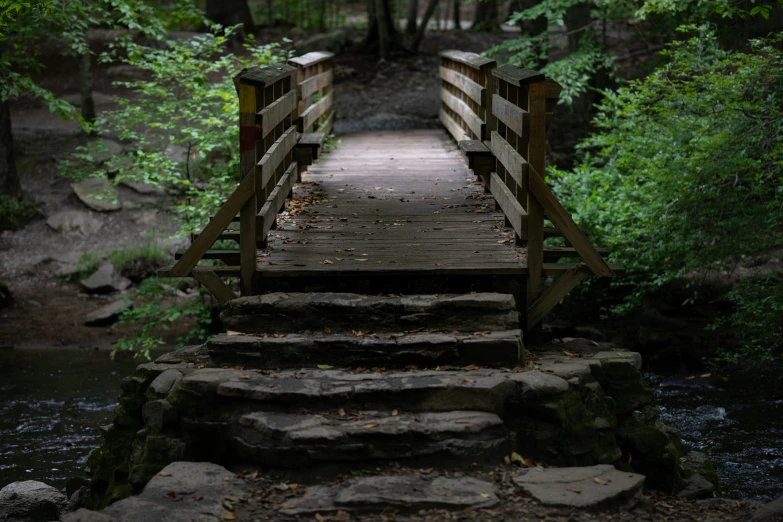 a wooden bridge over a creek in a forest