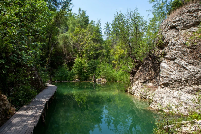 a green river with a wooden bridge next to trees