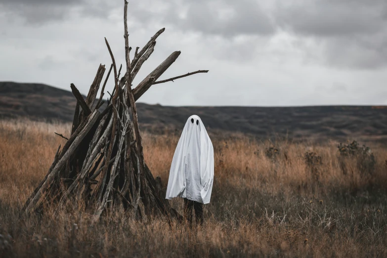 a ghost in a field behind wooden structures