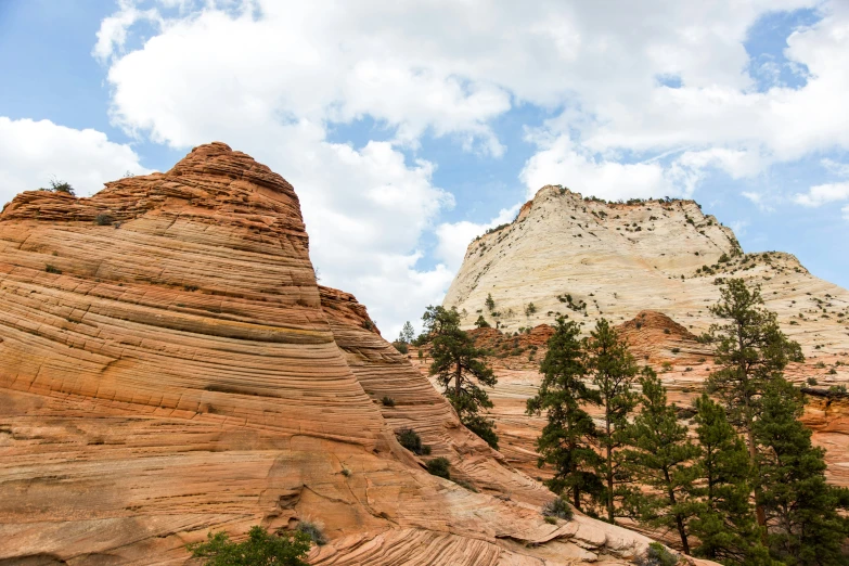 some rocks and trees in front of a mountain