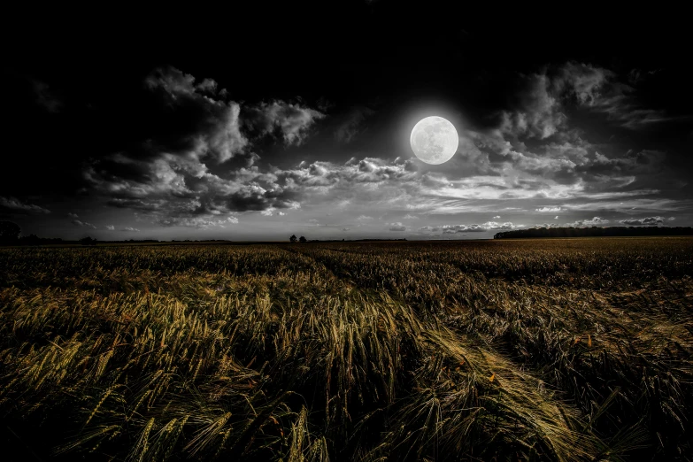 a large field at night with the moon in the sky