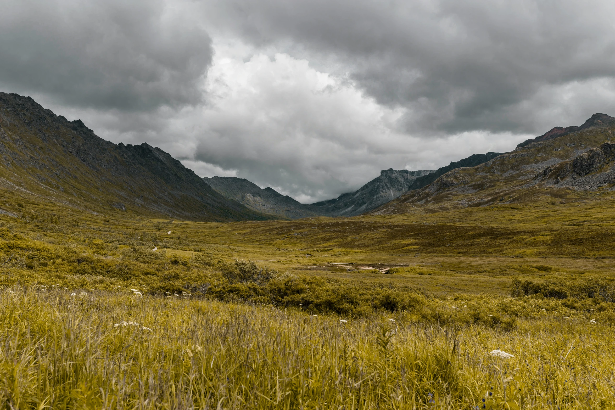 a grassy field with grass on the floor and a large mountain behind