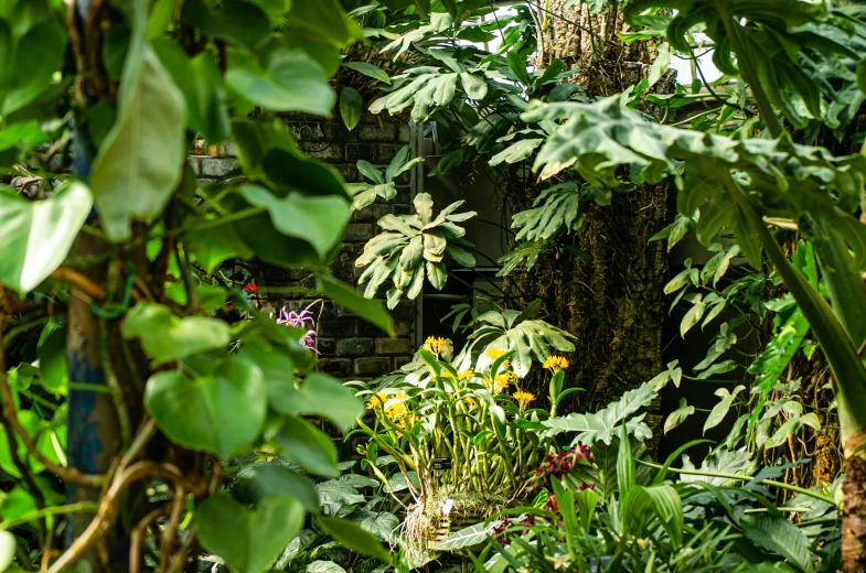 a green forest is covered by a variety of plants