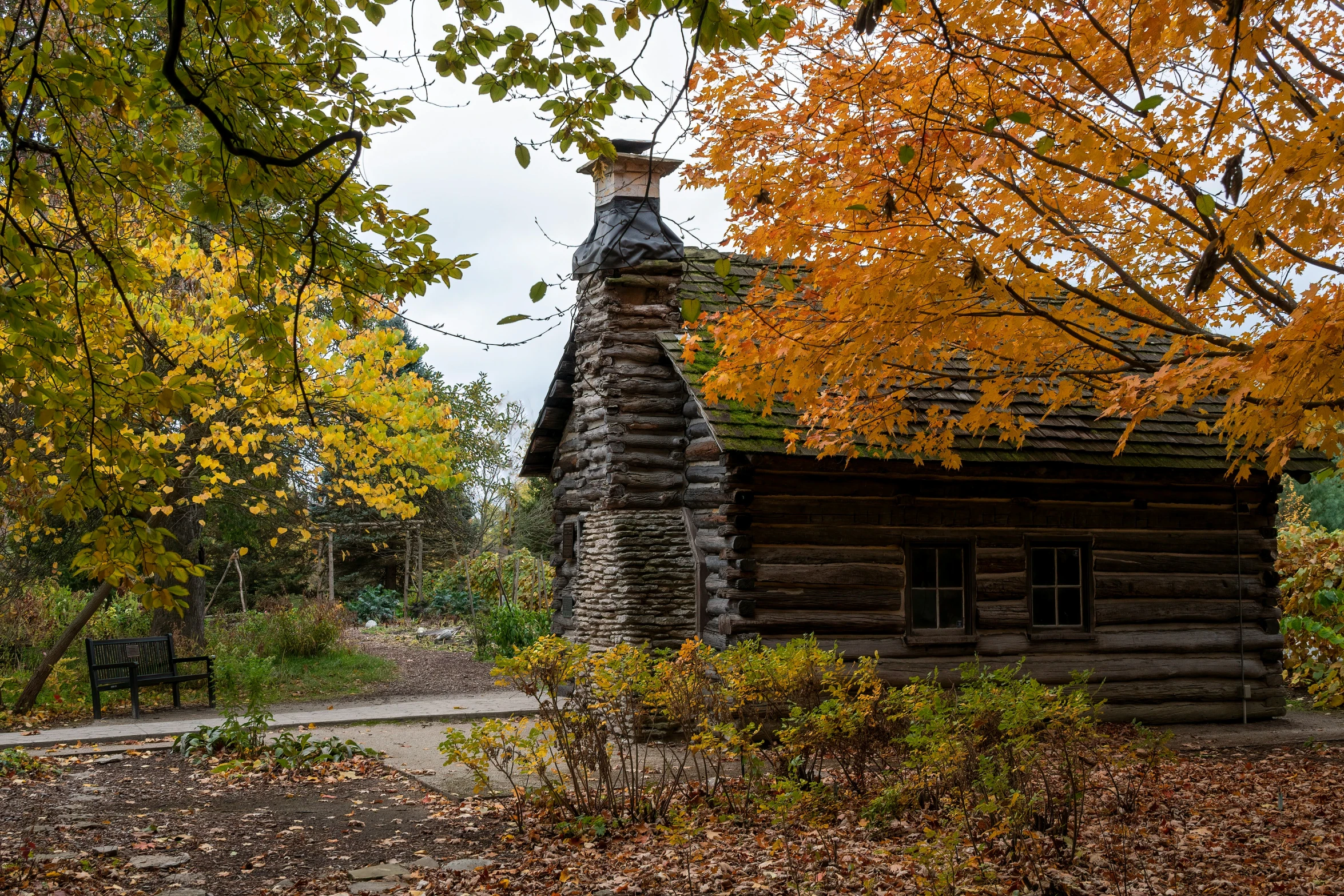 a house built from logs is surrounded by trees and leaves