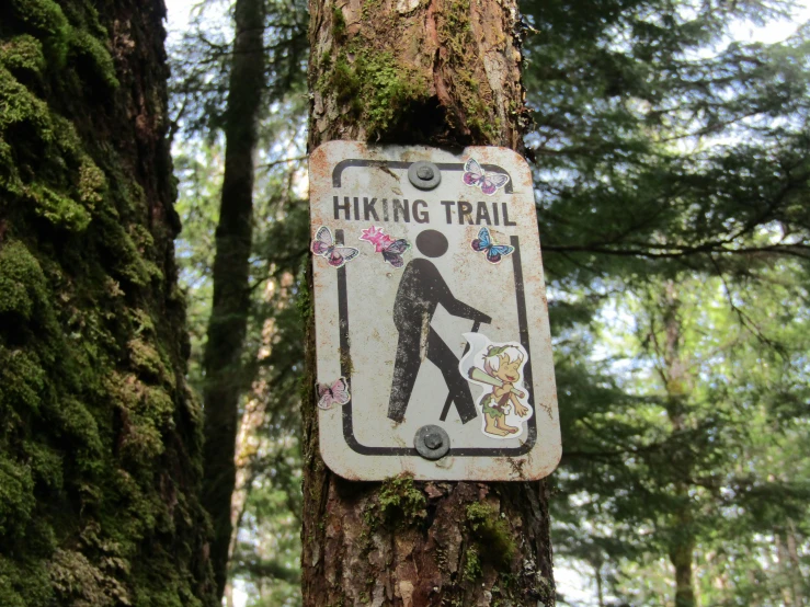 a hiking trail sign hanging off the side of a tree