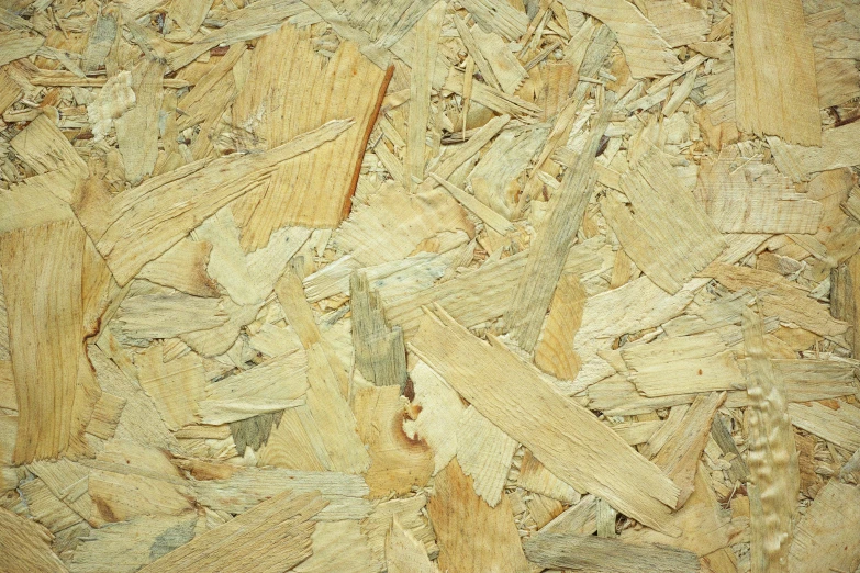 a very close up view of some wood chips