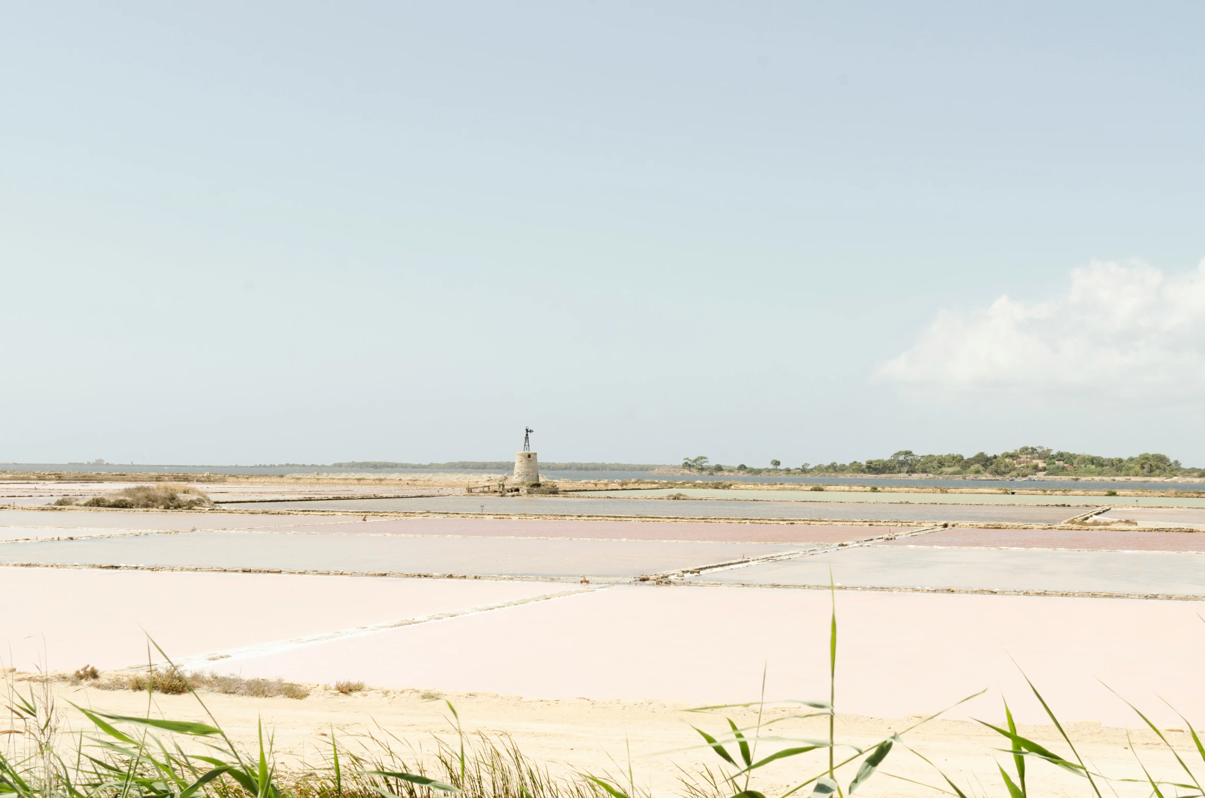 the tall giraffe is in the distance in the sand