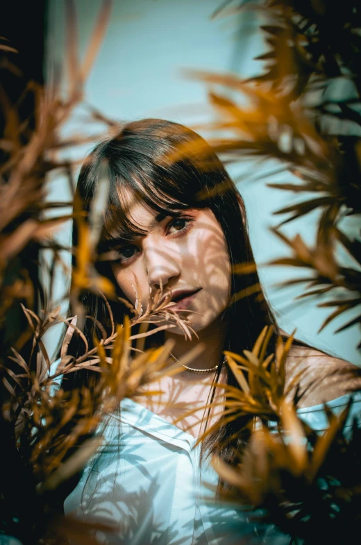 the woman in the blue top is staring at plants