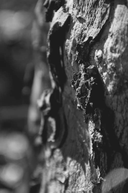 an abstract pograph of rocks with tiny holes